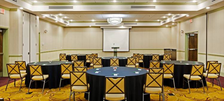 Holiday Inn 岩石丘(Holiday Inn Rock Hill)图片