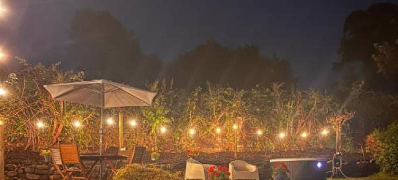 榉木树度假屋(Beechtree Chalet)图片