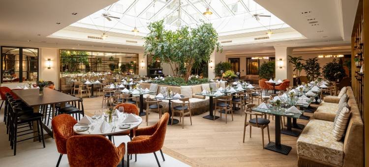 希尔顿海德堡(Hilton Heidelberg)图片