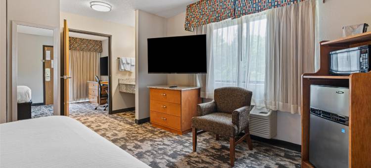 辛德尔斯贝斯特韦斯特套房酒店(Best Western Ambassador Inn  Suites)图片