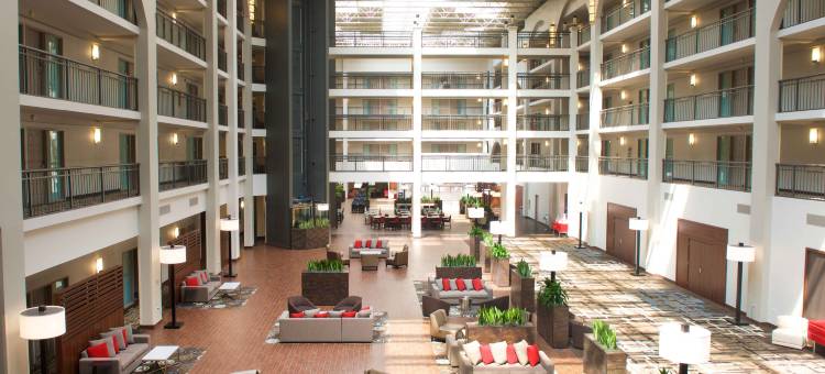 底特律利沃尼诺维希尔顿安泊酒店(Embassy Suites by Hilton Detroit Livonia Novi)图片