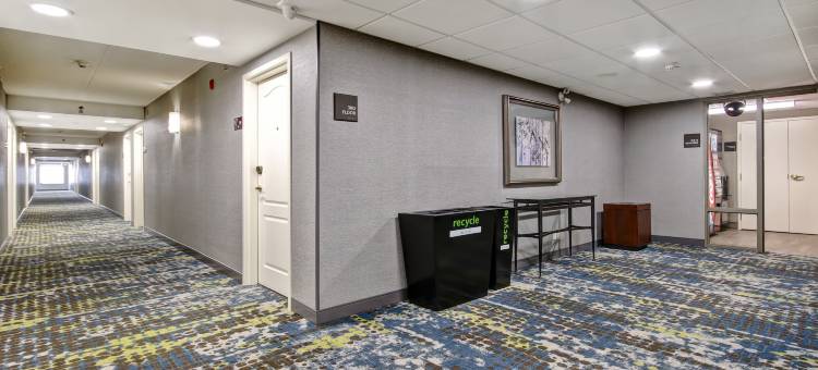 圭尔夫希尔顿欢朋套房酒店(Hampton Inn & Suites by Hilton Guelph)图片