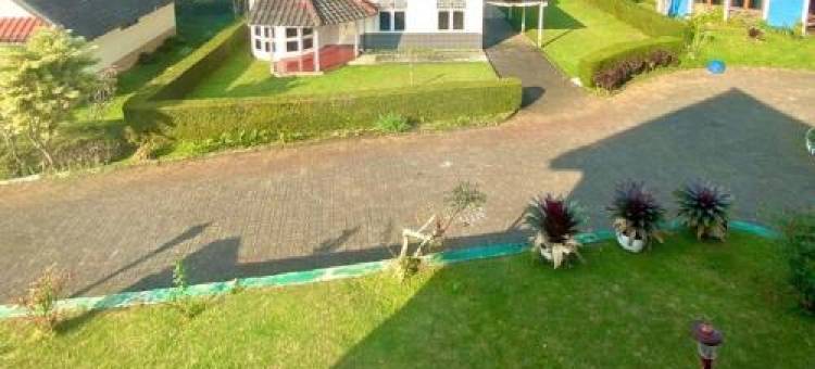 O酒店布根维尔度假村(Hotel O Bougenville Resort)图片