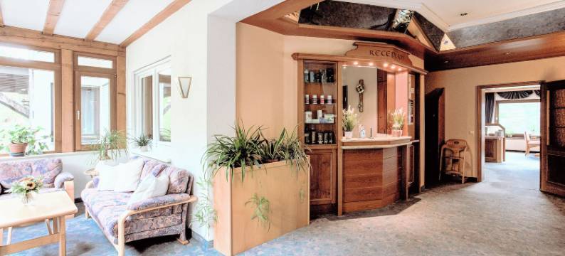 绍因斯兰酒店(Hotel Schauinsland)图片