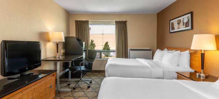 舒适酒店(Comfort Inn)图片