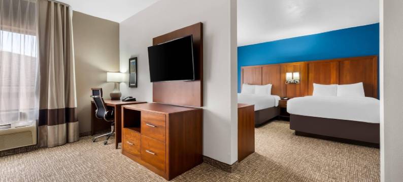 奥古斯塔西部舒适酒店及套房，靠近戈登堡(Comfort Inn & Suites Augusta West Near Fort Gordon)图片