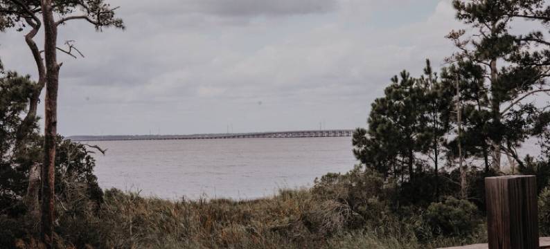 H2OMG - WIE Houses - Pod Zeus图片