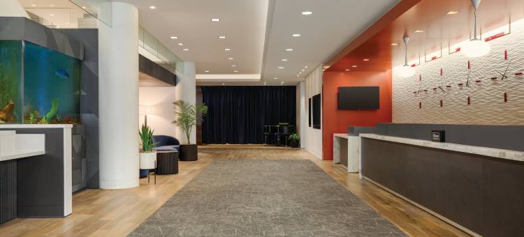 希尔顿旧金山金融区酒店(Hilton San Francisco Financial District)图片