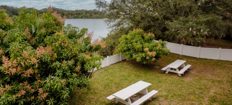 埃伦顿-布雷登顿红顶酒店(Red Roof Inn Ellenton - Bradenton NE)图片