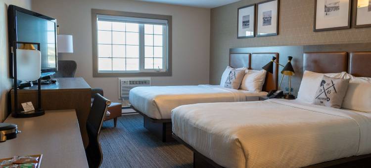 淘金贝斯特韦斯特酒店(Best Western Gold Rush Inn)图片