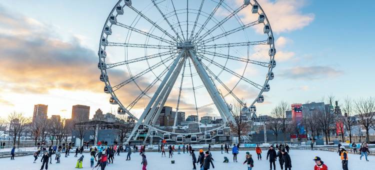 蒙特利尔中心城商业区假日酒店(Holiday Inn Montreal Centre Ville Downtown)图片