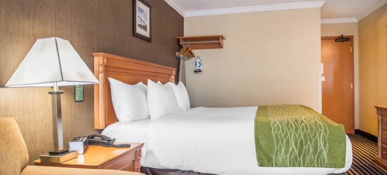 舒适酒店(Comfort Inn)图片