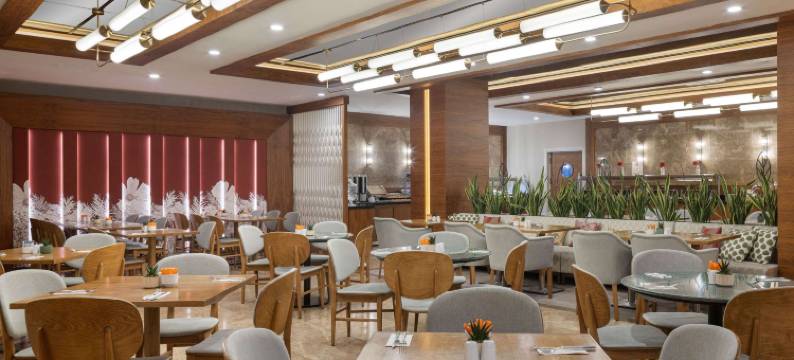 安卡拉基济莱美居酒店(Mercure Ankara Kizilay)图片