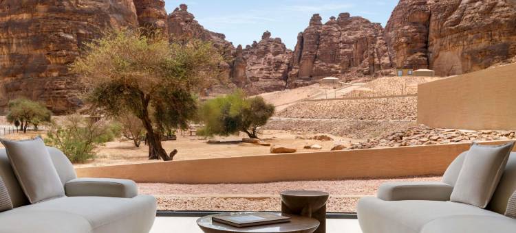 雅高管理的欧拉莎登度假村(Shaden Resort Al Ula, Managed by Accor)图片