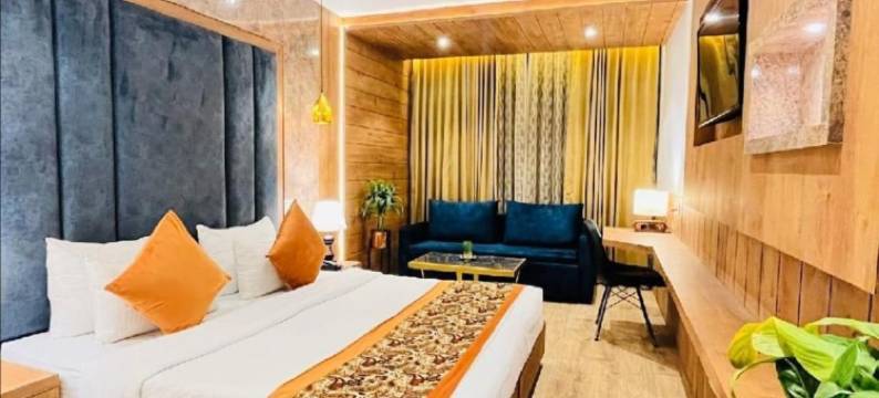 湿婆洲际酒店(Hotel Shiva InterContinental)图片