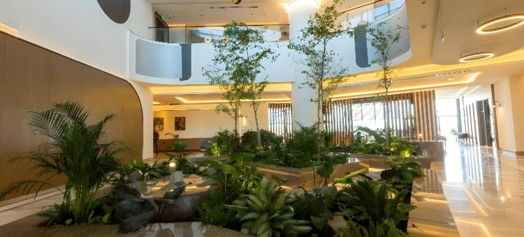 萨维茨基广场.(Savitsky Plaza)图片