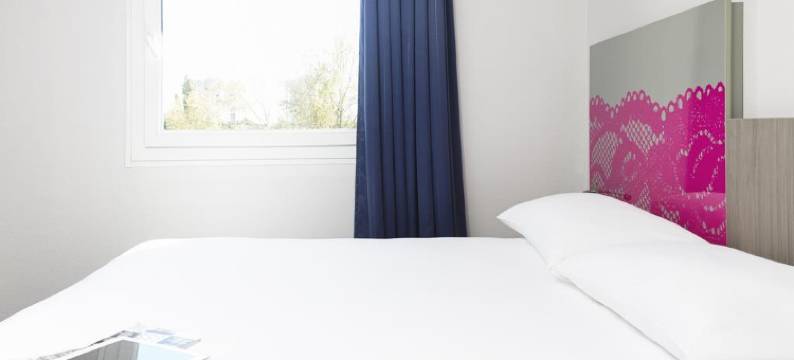 宜必思尚品阿尔斯议会宫酒店-原美居酒店(Ibis Styles Arles Palais des Congrès)图片