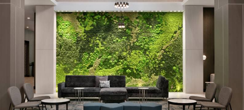 亚特兰大市中心希尔顿大使套房酒店(Embassy Suites by Hilton Atlanta Midtown)图片