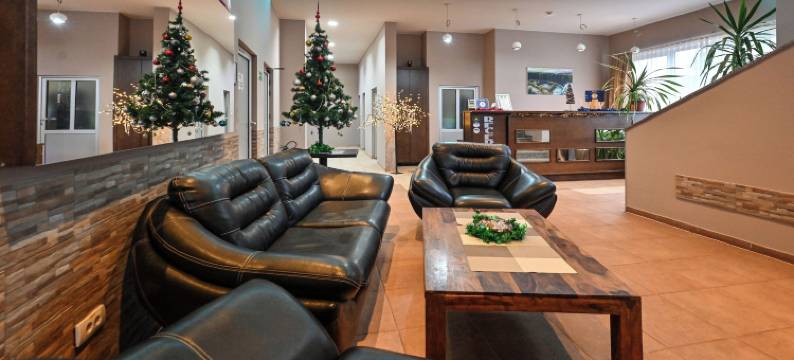 LANE 酒店(Hotel Lane)图片