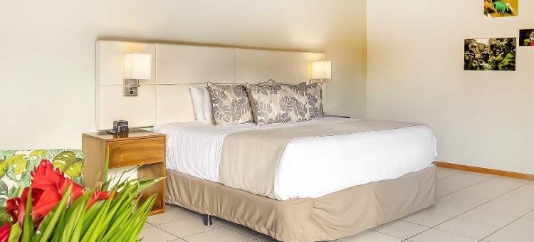 菲克斯日落套房(Ficus Sunset Suites)图片