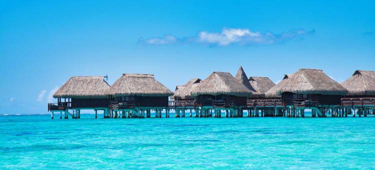 索菲特起亚索菲特奥拉莫雷阿岛海滩度假酒店(Sofitel Kia Ora Moorea Beach Resort)图片