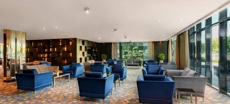 新德里帕池豪尔丽笙酒店(Radisson Hotel New Delhi Paschim Vihar)图片