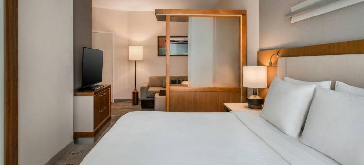 布法罗机场SpringHill Suites酒店(SpringHill Suites Buffalo Airport)图片