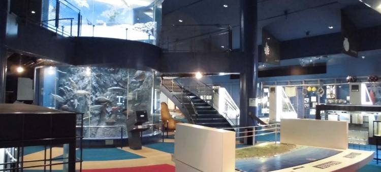 宫古山丘车站酒店(BBH酒店集团)(Hotel Miyako Hills)图片