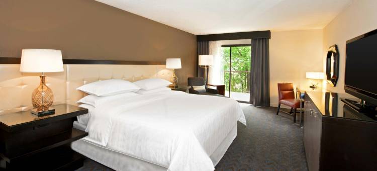 明尼阿波利斯西喜来登酒店(Sheraton Minneapolis West Hotel)图片