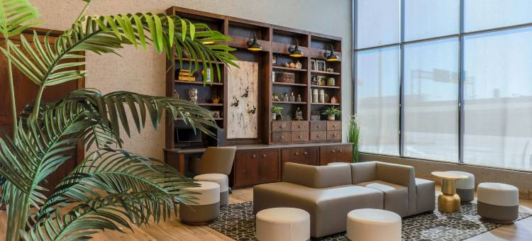 喜来登福朋阿马里洛中心酒店(Four Points by Sheraton Amarillo Central)图片