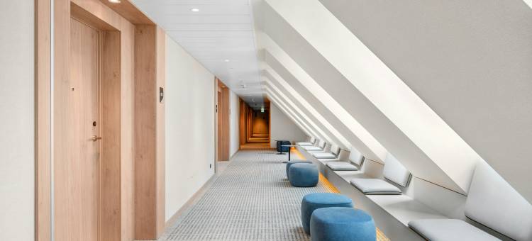 希尔顿花园酒店 - 德布勒森市中心(Hilton Garden Inn Debrecen City Center)图片