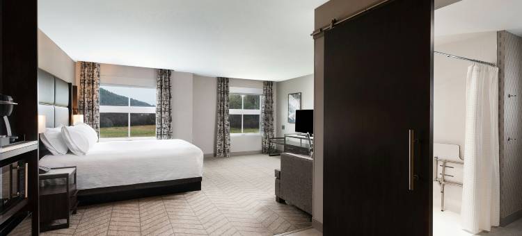 黎巴嫩汉诺威希尔顿花园酒店(Hilton Garden Inn Hanover/Lebanon)图片