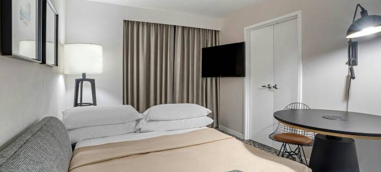 亚历山德里亚古城喜来登套房酒店(Sheraton Suites Old Town Alexandria)图片