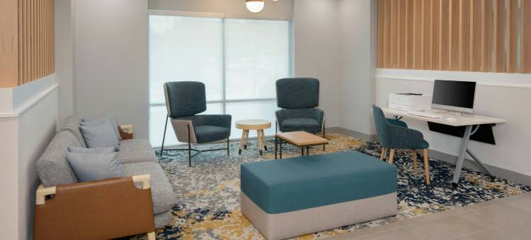亚特兰大机场北TownePlace Suites酒店(TownePlace Suites by Marriott Atlanta Airport North)图片