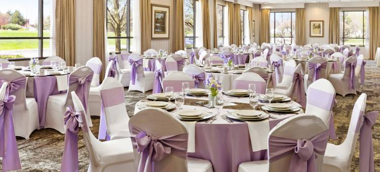 底特律诺维希尔顿逸林酒店(DoubleTree by Hilton Detroit Novi)图片