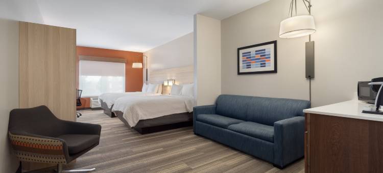 萨吉诺智选假日套房酒店(Holiday Inn Express & Suites SAGINAW by IHG)图片