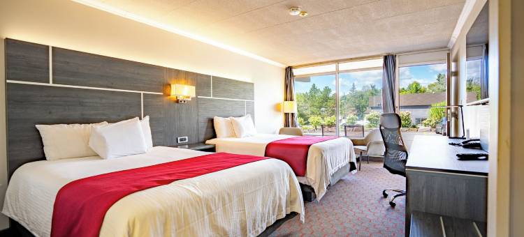 威廉国王罗德威旅馆(Rodeway Inn King William)图片