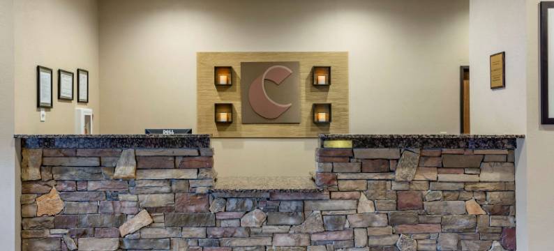 舒适套房酒店(Comfort Inn & Suites)图片