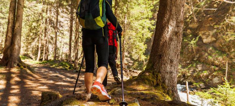 罗克维尔福雷斯特汽车旅馆(Motel Forrest Rockville)图片