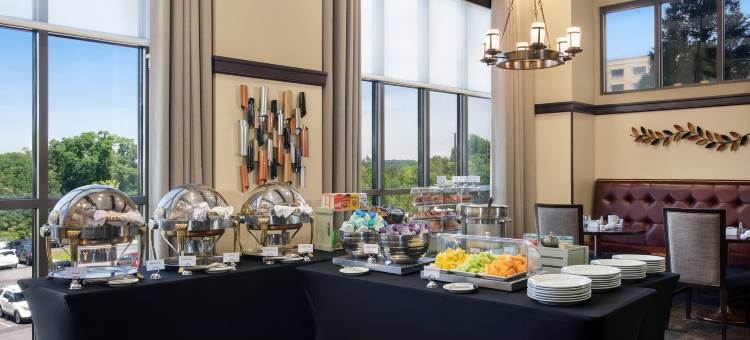 巴尔的摩华盛顿机场喜来登酒店-I(Sheraton Baltimore Washington Airport Hotel - BWI)图片