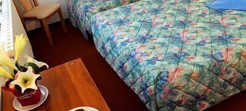 加里纳酒店(Hôtel Restaurant Pavillon Carina)图片