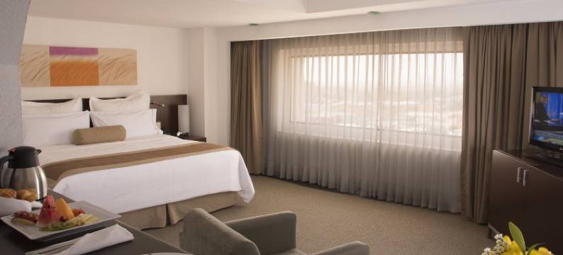 埃莫西美洲嘉年华酒店(Fiesta Americana Hermosillo)图片