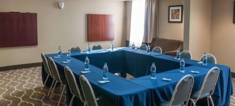 舒适套房酒店(Comfort Inn & Suites)图片