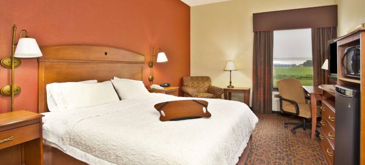 希尔顿欢朋酒店-安德森(Hampton Inn Anderson)图片