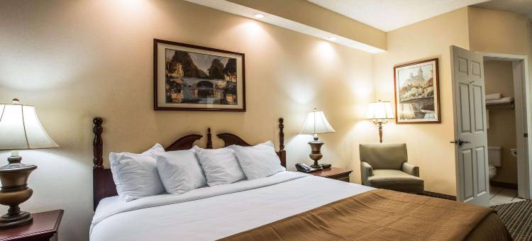 凯艺酒店(Quality Inn)图片