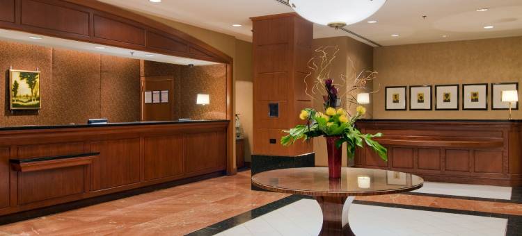 芝加哥壮丽大道希尔顿套房酒店(Hilton Chicago Magnificent Mile Suites)图片