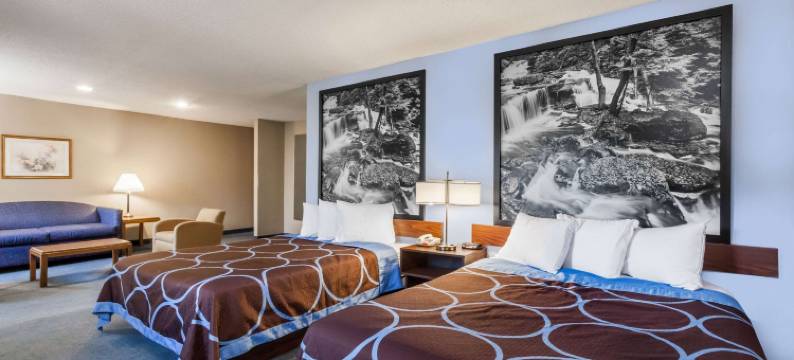 速8酒店-东斯特劳兹堡/波科诺-由温德姆酒店管理(Super 8 by Wyndham East Stroudsburg/Poconos)图片