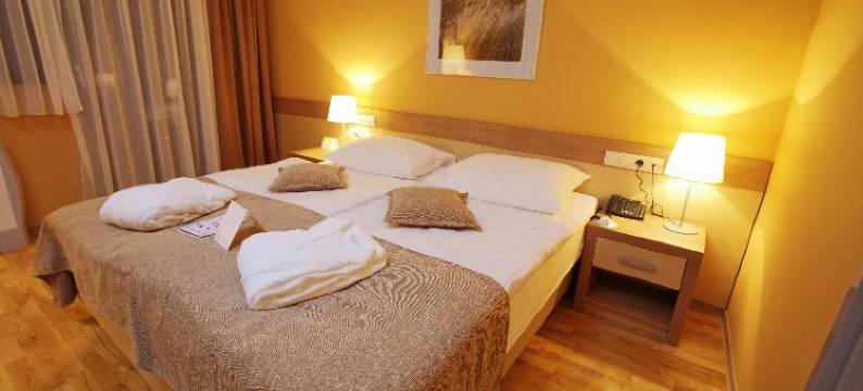 欧里米尔温泉 - 布雷扎酒店(Terme Olimia - Hotel Breza)图片