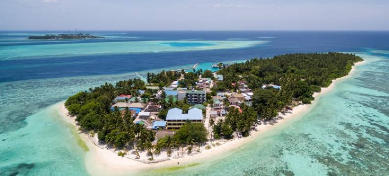 马尔代夫羽毛酒店(Plumeria Maldives)图片