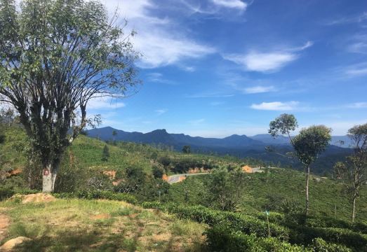 Adisham Village Home Hotel Overview